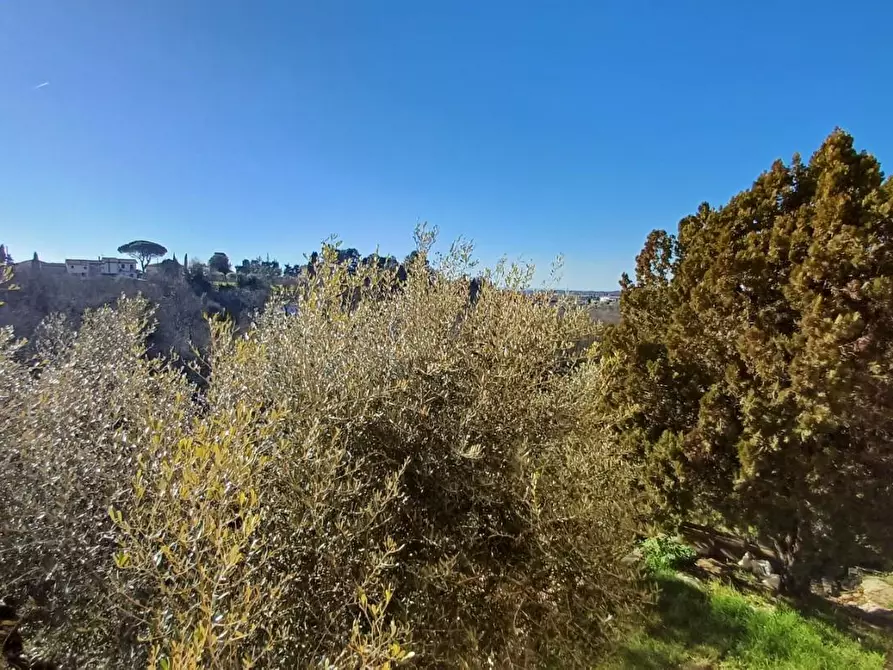 Immagine 22 di Casa indipendente in vendita  a Santa Maria A Monte