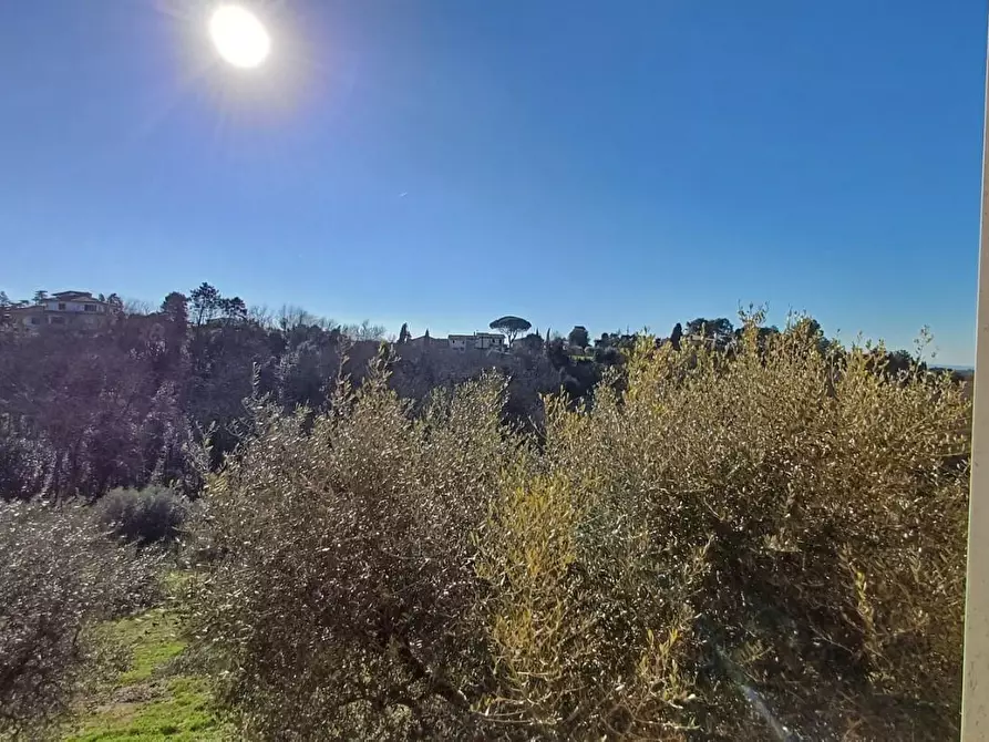Immagine 18 di Casa indipendente in vendita  a Santa Maria A Monte