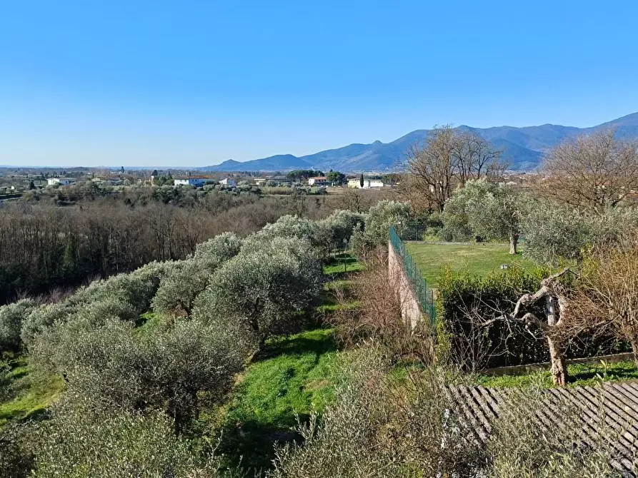 Immagine 15 di Casa indipendente in vendita  a Santa Maria A Monte