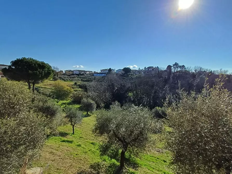 Immagine 20 di Casa indipendente in vendita  a Santa Maria A Monte