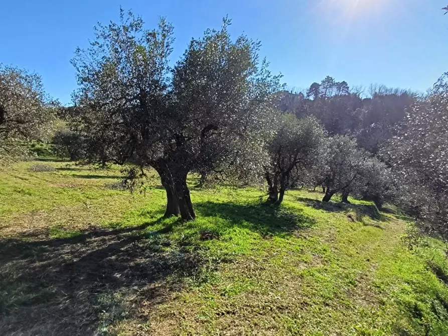 Immagine 4 di Casa indipendente in vendita  a Santa Maria A Monte