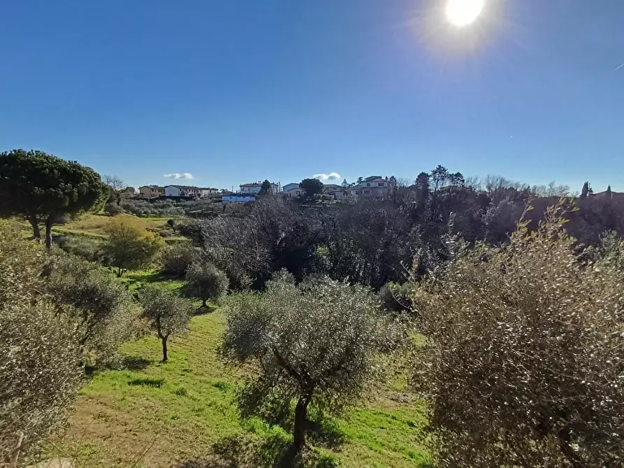 Immagine 21 di Casa indipendente in vendita  a Santa Maria A Monte