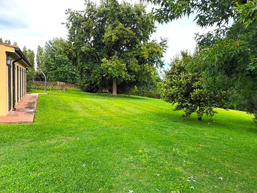 Immagine 30 di Villetta a schiera in vendita  a San Giuliano Terme