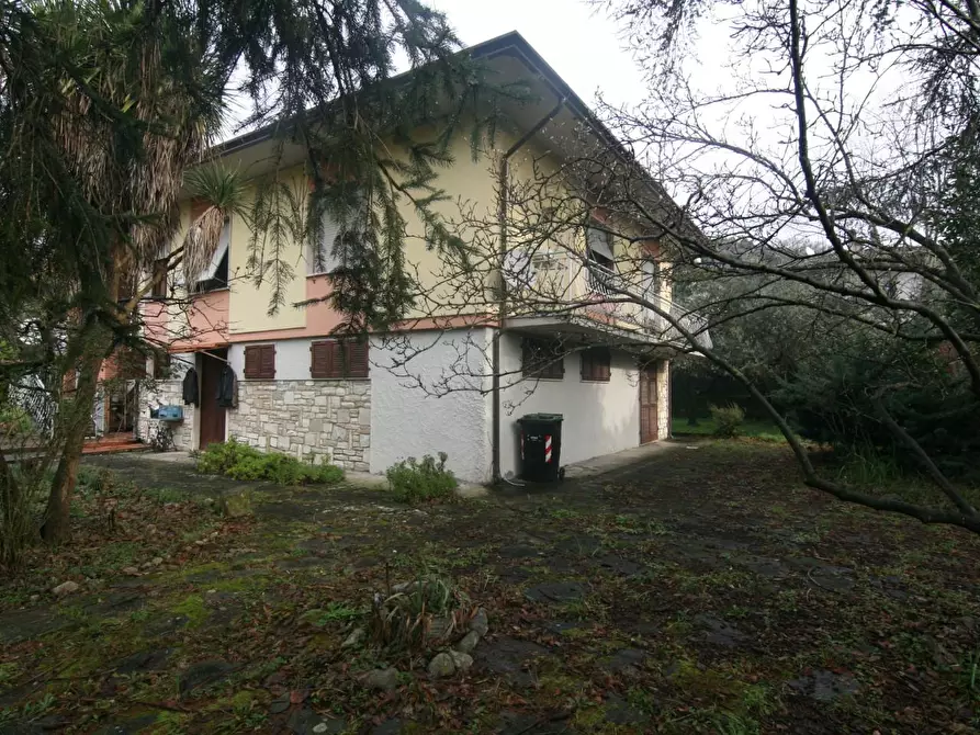 Immagine 3 di Casa indipendente in vendita  a Carrara