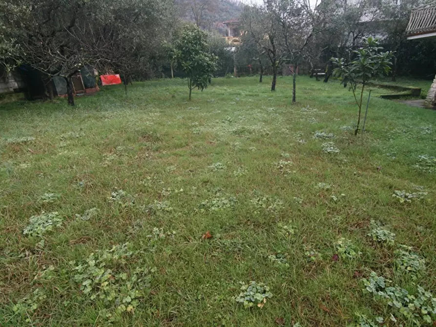 Immagine 11 di Casa indipendente in vendita  a Carrara