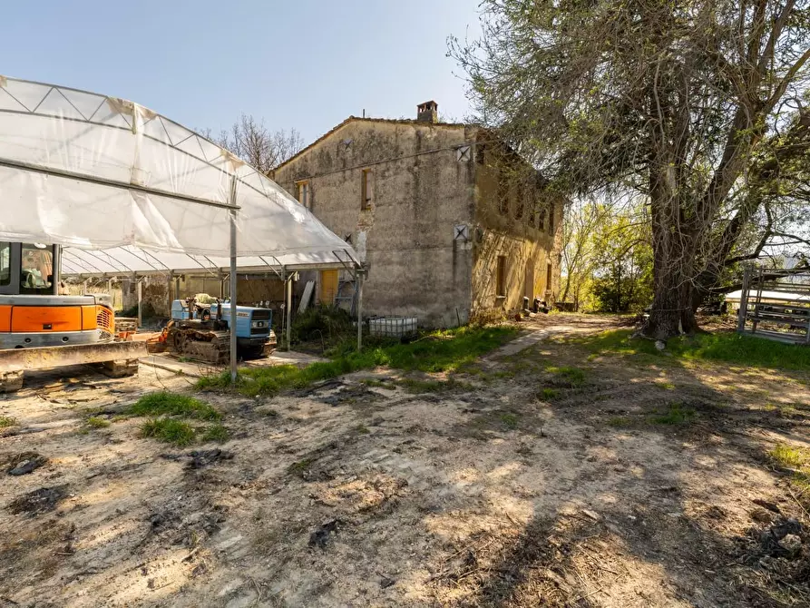Immagine 23 di Rustico / casale in vendita  a Chianni