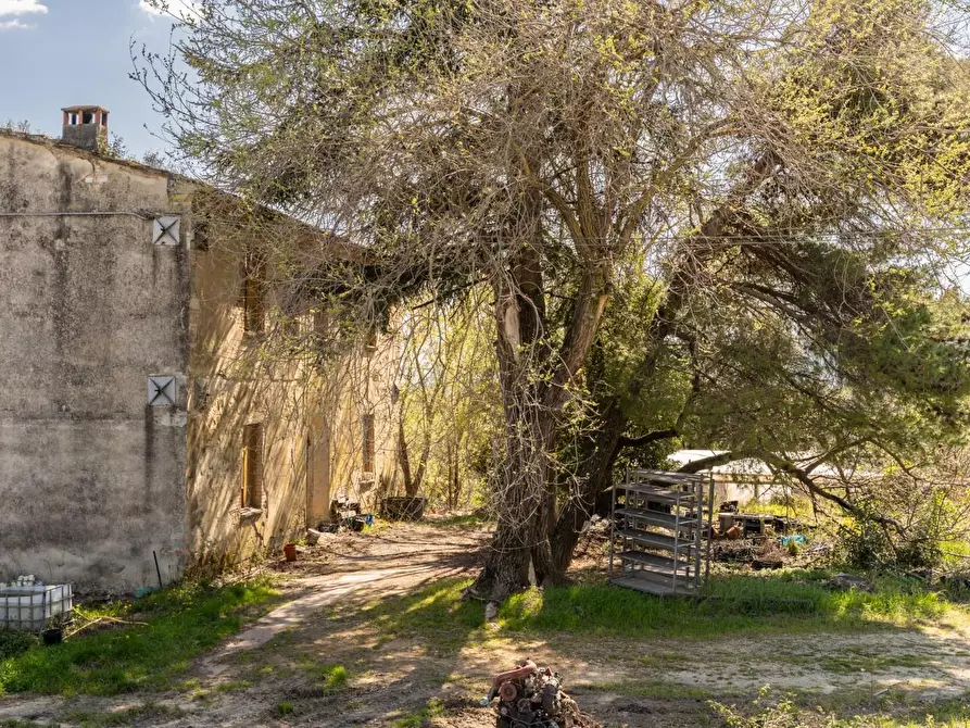 Immagine 13 di Rustico / casale in vendita  a Chianni