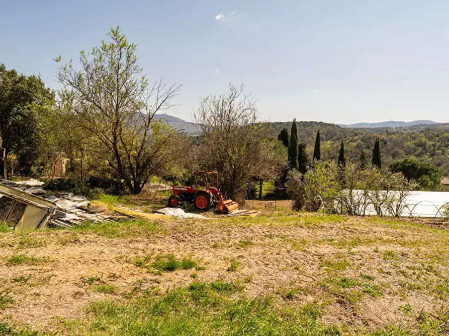 Immagine 17 di Rustico / casale in vendita  a Chianni