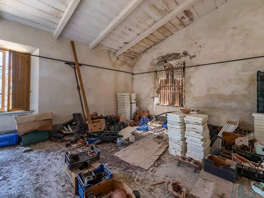 Immagine 6 di Rustico / casale in vendita  a Chianni