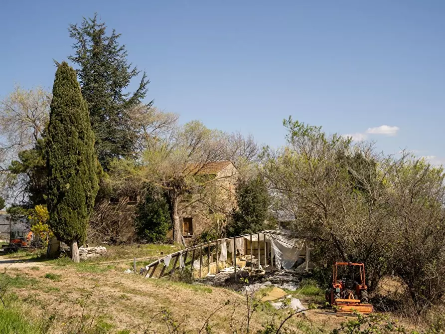 Immagine 14 di Rustico / casale in vendita  a Chianni