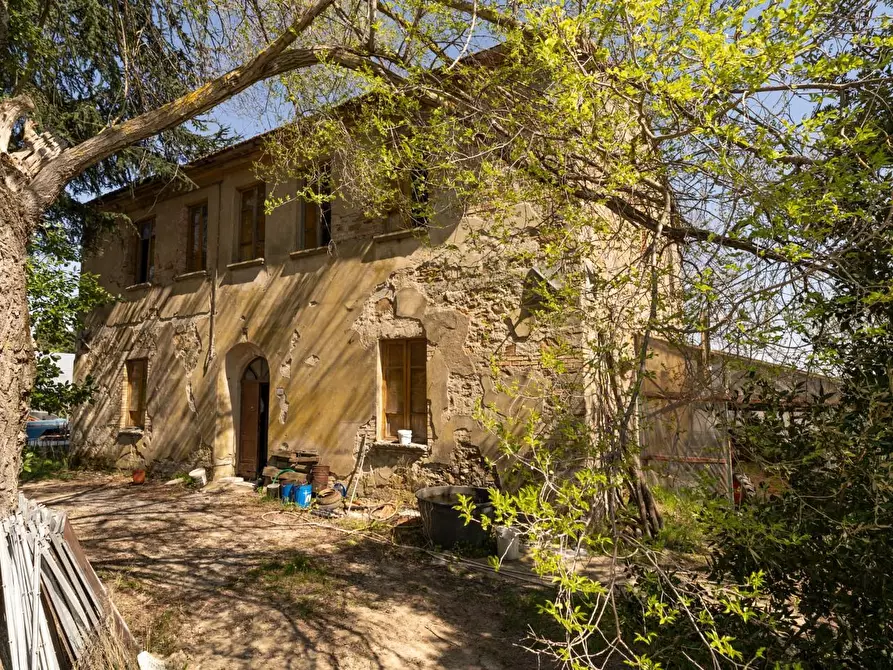 Immagine 2 di Rustico / casale in vendita  a Chianni