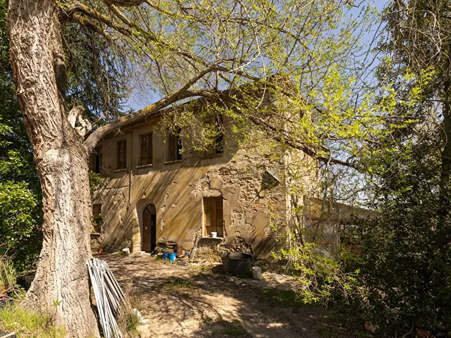 Immagine 10 di Rustico / casale in vendita  a Chianni