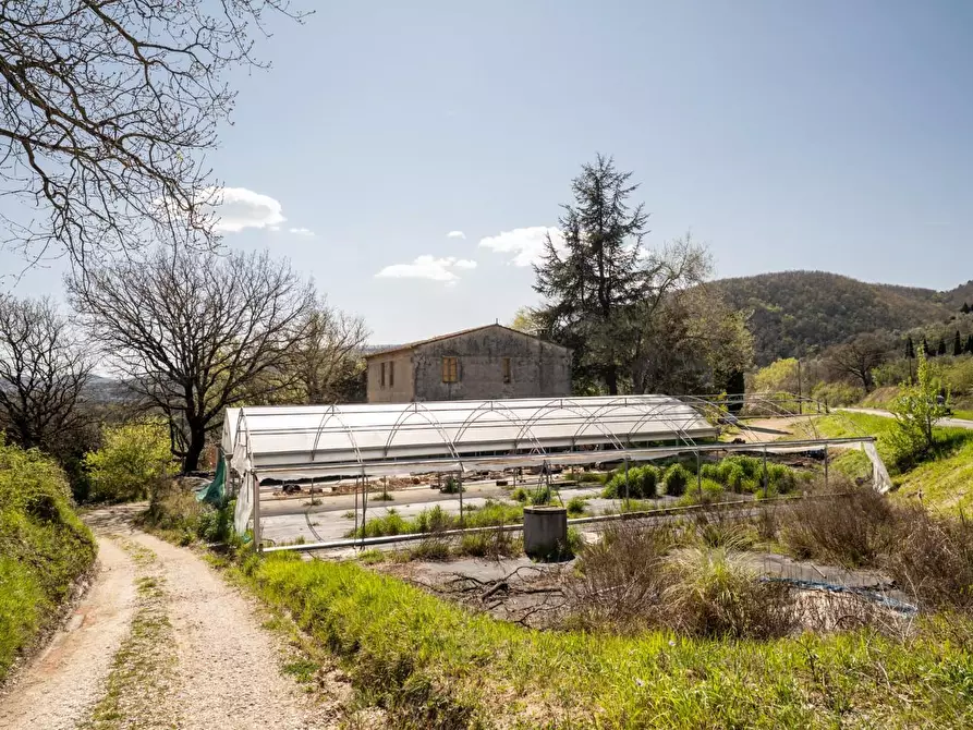 Immagine 8 di Rustico / casale in vendita  a Chianni
