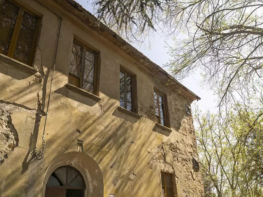 Immagine 4 di Rustico / casale in vendita  a Chianni