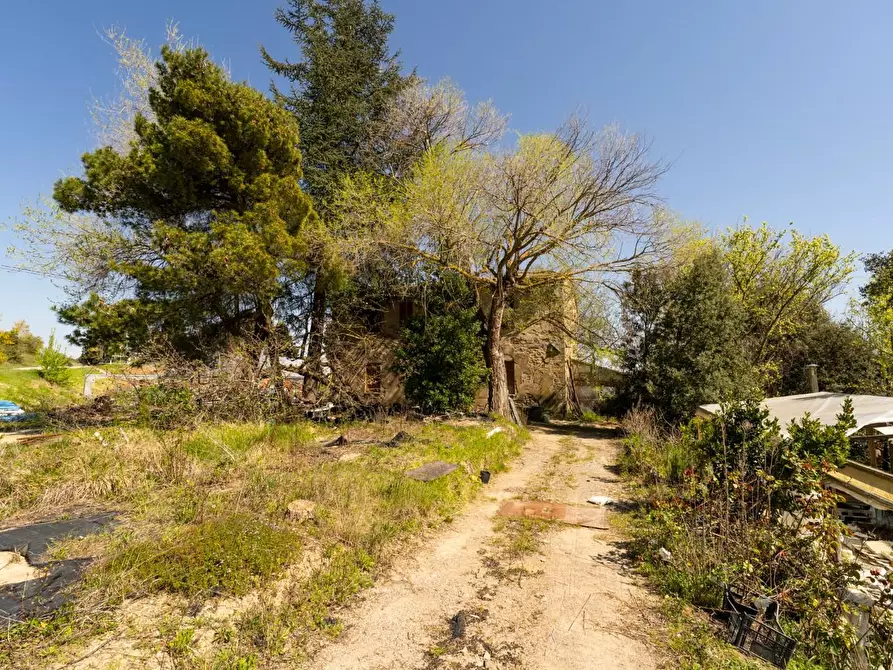 Immagine 9 di Rustico / casale in vendita  a Chianni