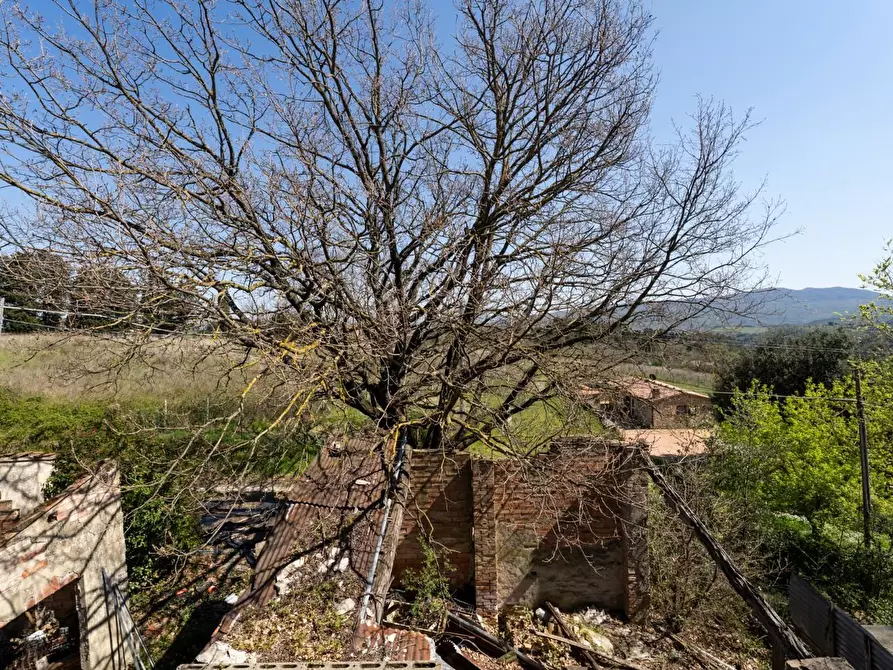 Immagine 22 di Rustico / casale in vendita  a Chianni
