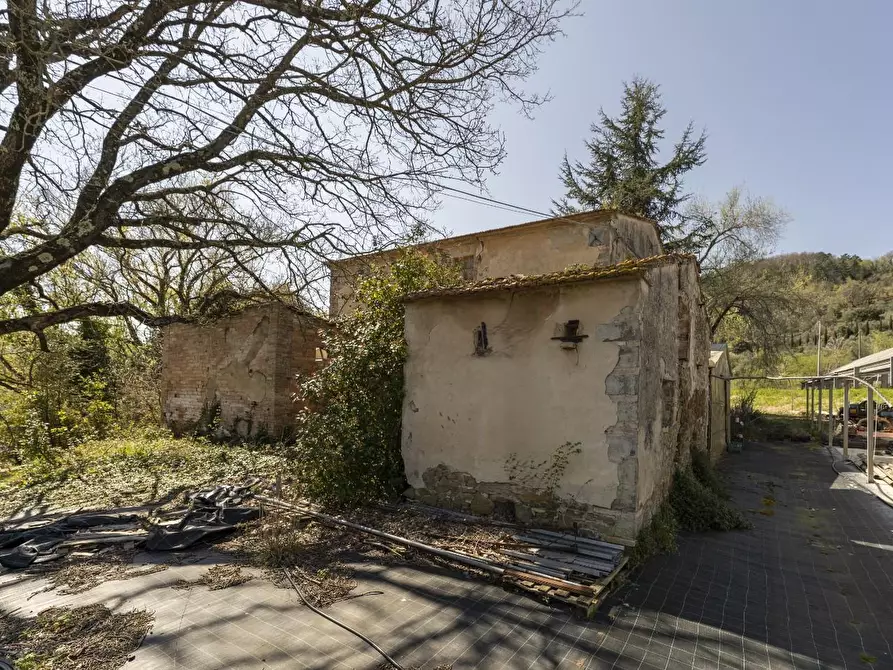 Immagine 20 di Rustico / casale in vendita  a Chianni
