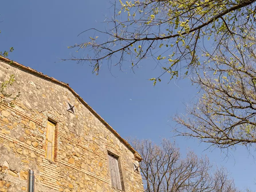 Immagine 11 di Rustico / casale in vendita  a Chianni