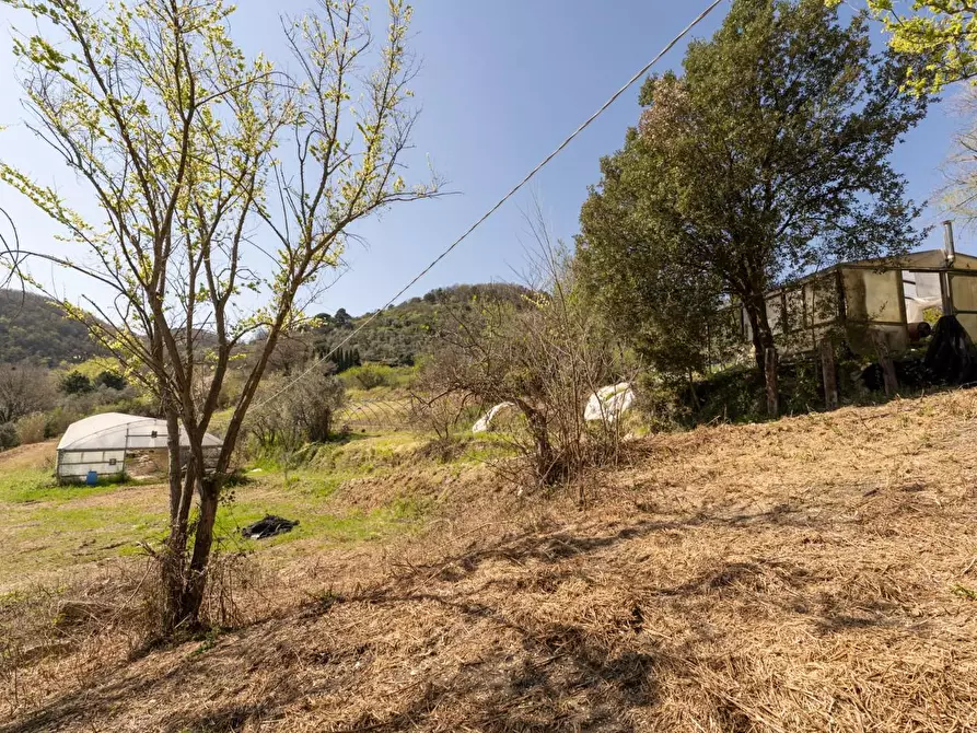 Immagine 15 di Rustico / casale in vendita  a Chianni