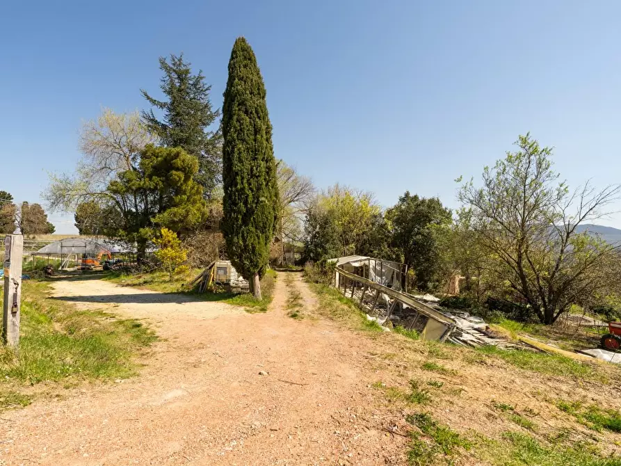 Immagine 18 di Rustico / casale in vendita  a Chianni