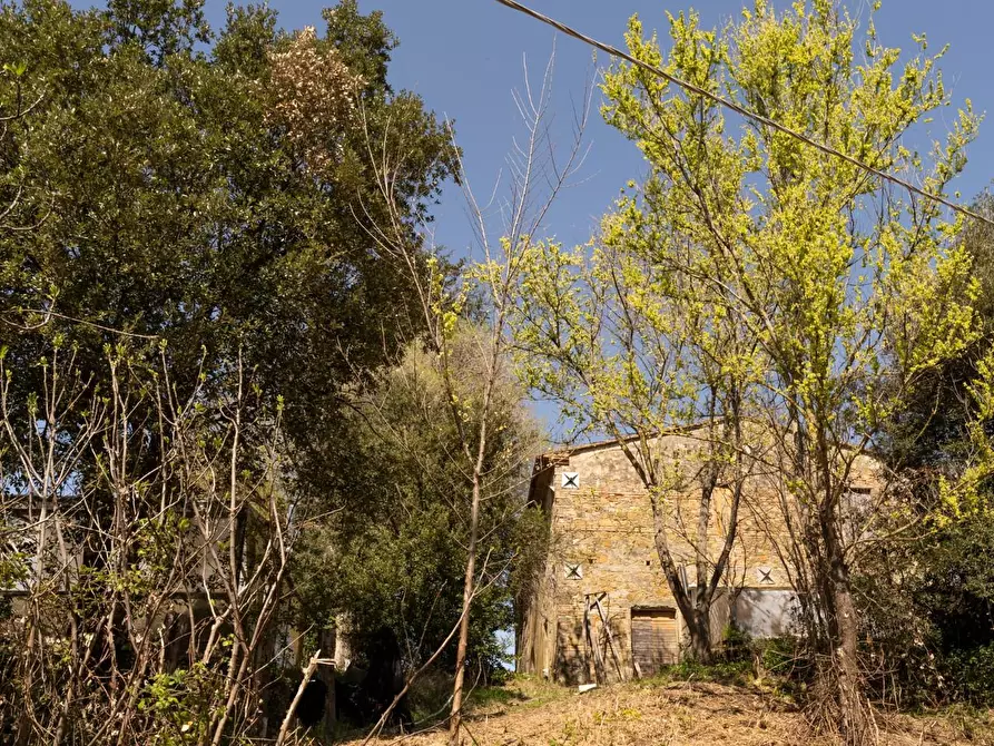 Immagine 12 di Rustico / casale in vendita  a Chianni