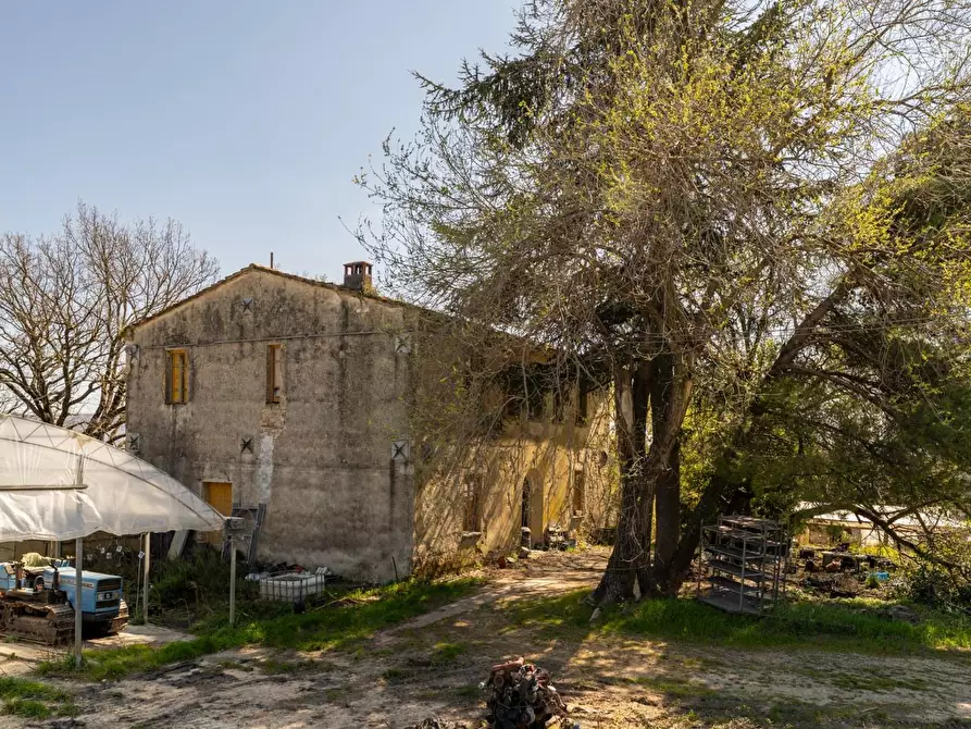 Immagine 16 di Rustico / casale in vendita  a Chianni
