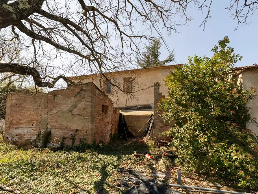 Immagine 19 di Rustico / casale in vendita  a Chianni