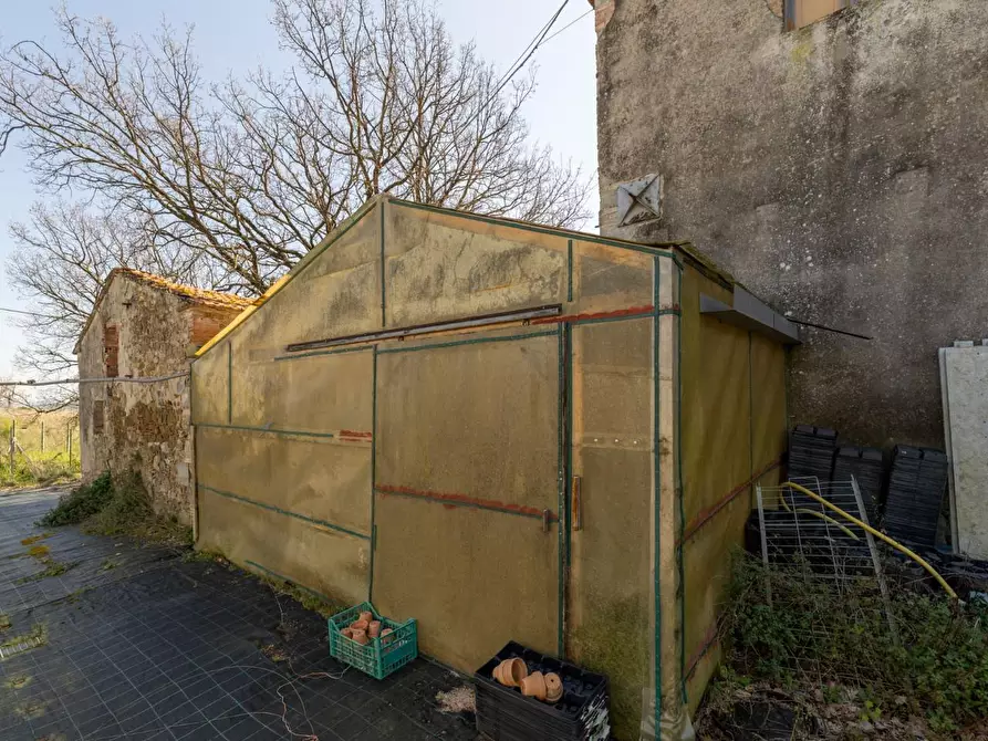 Immagine 21 di Rustico / casale in vendita  a Chianni