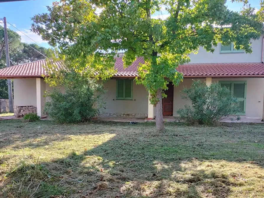 Immagine 2 di Casa indipendente in vendita  a Lajatico