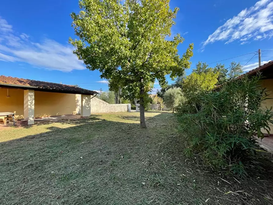 Immagine 7 di Casa indipendente in vendita  a Lajatico