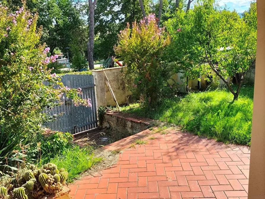 Immagine 8 di Casa indipendente in vendita  a Lajatico