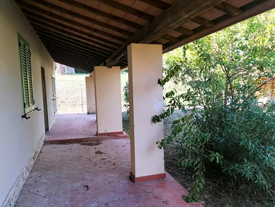 Immagine 6 di Casa indipendente in vendita  a Lajatico