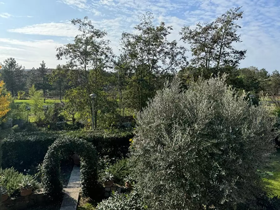 Immagine 16 di Villetta a schiera in vendita  a Monteroni D'arbia