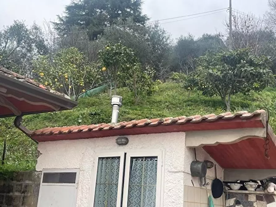 Immagine 7 di Casa bifamiliare in vendita  a Massa