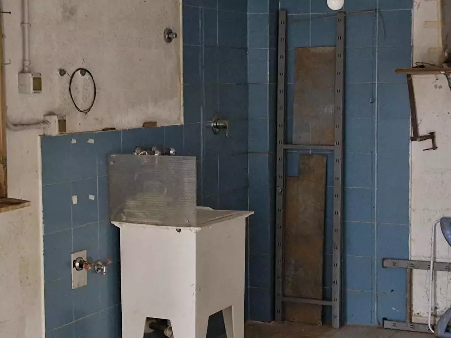 Immagine 32 di Appartamento in vendita  a Campiglia Marittima