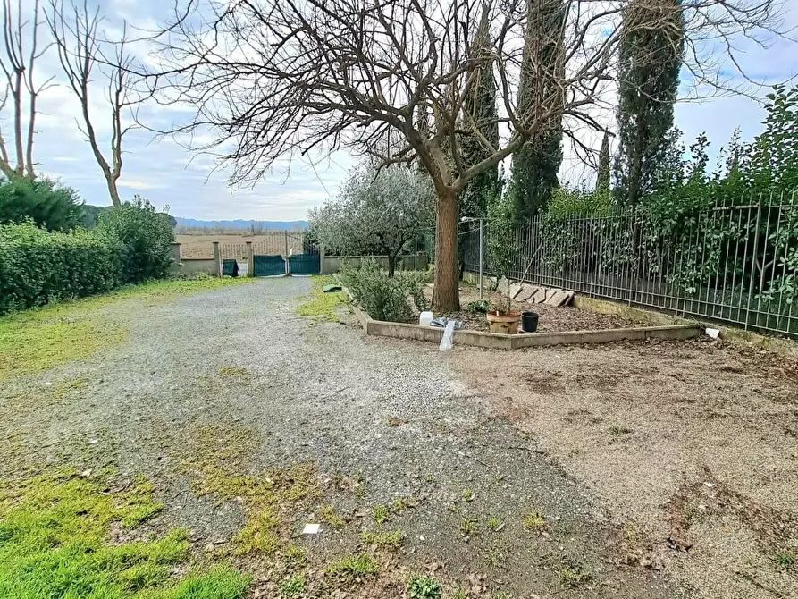 Immagine 3 di Terratetto in vendita  a Cerreto Guidi
