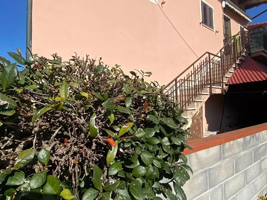 Immagine 3 di Appartamento in vendita  a Santa Maria A Monte