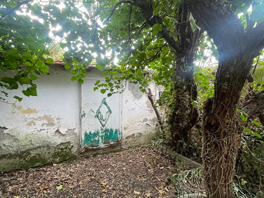 Immagine 36 di Villa in vendita  a Livorno