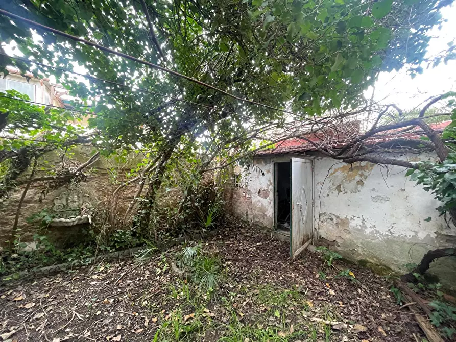 Immagine 35 di Villa in vendita  a Livorno