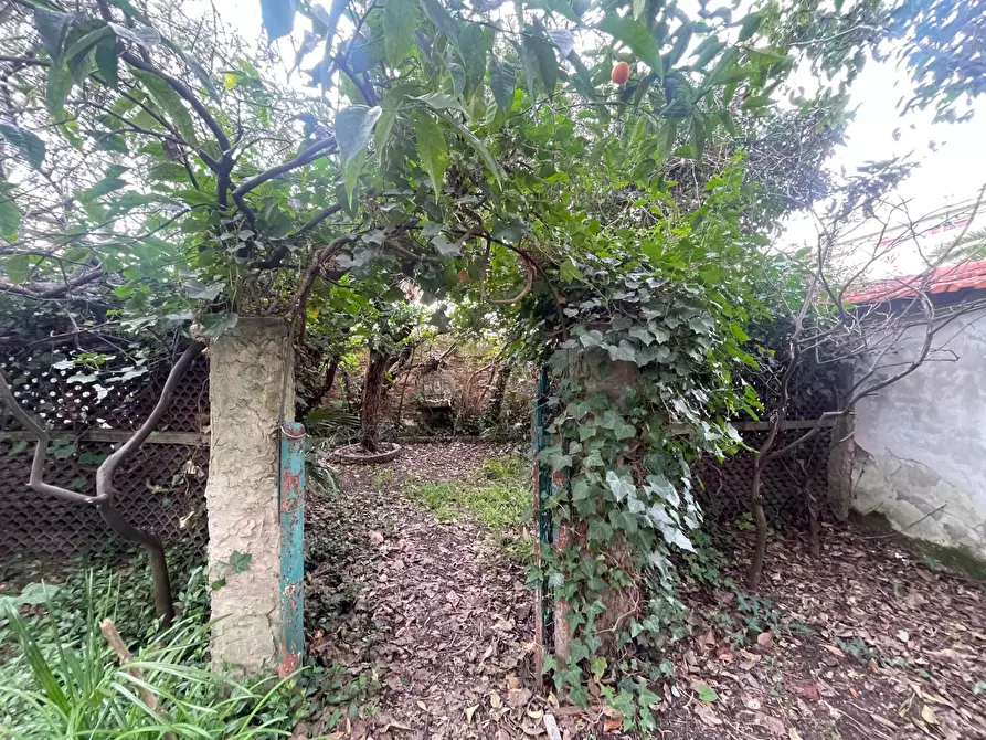 Immagine 34 di Villa in vendita  a Livorno