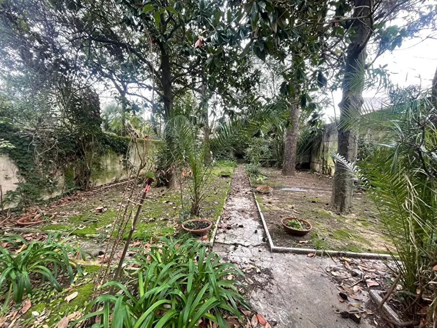 Immagine 31 di Villa in vendita  a Livorno