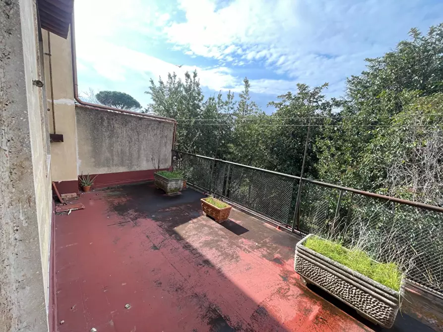 Immagine 65 di Villa in vendita  a Livorno