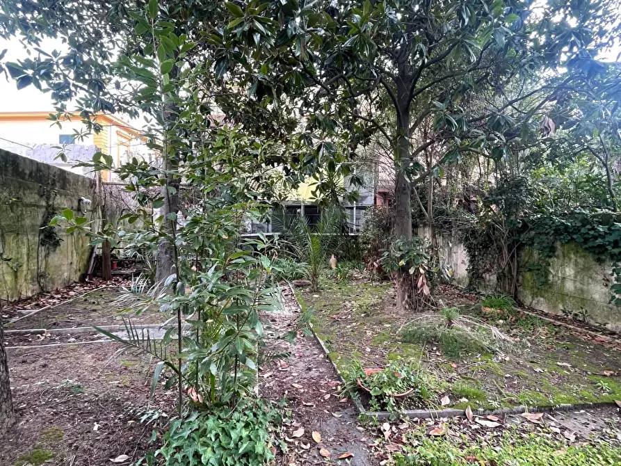 Immagine 37 di Villa in vendita  a Livorno