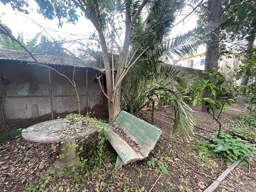 Immagine 33 di Villa in vendita  a Livorno