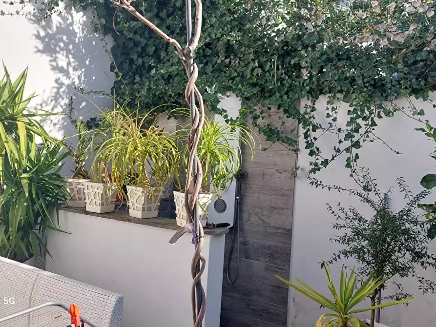 Immagine 2 di Casa indipendente in vendita  a Livorno