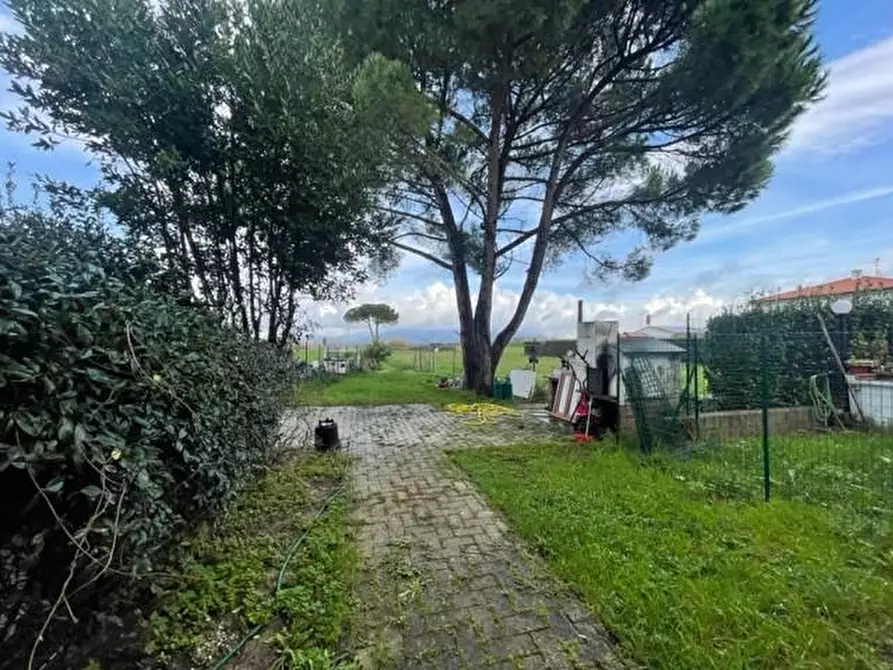 Immagine 9 di Appartamento in vendita  a Crespina Lorenzana