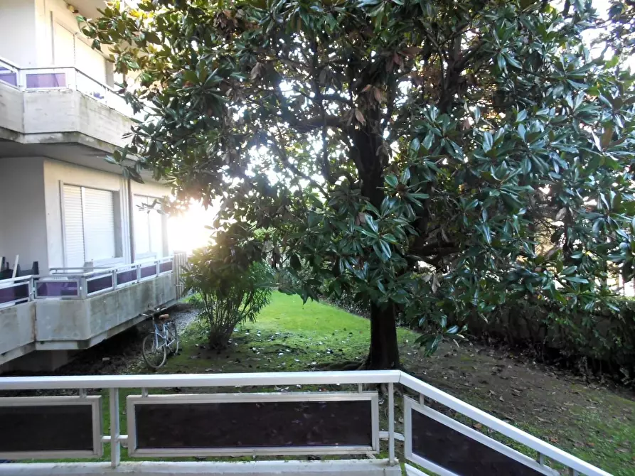 Immagine 53 di Appartamento in vendita  a Massa