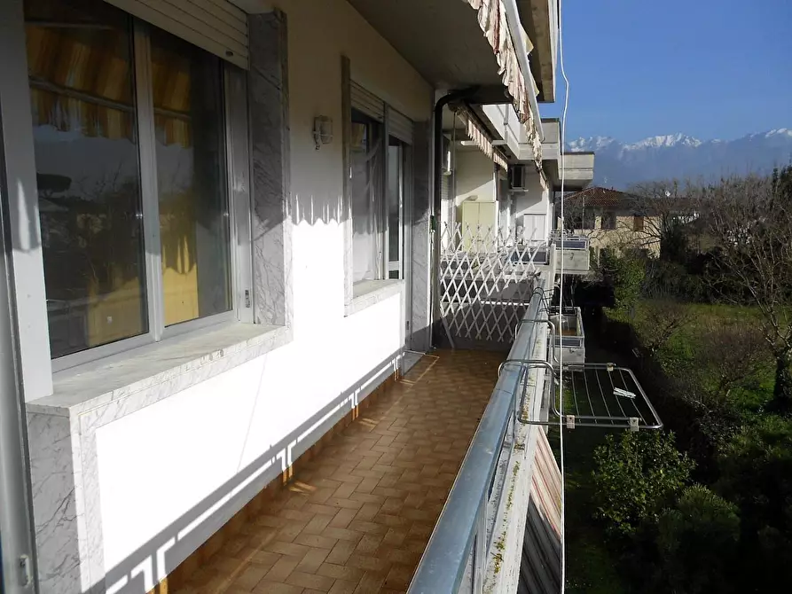 Immagine 17 di Appartamento in vendita  a Massa