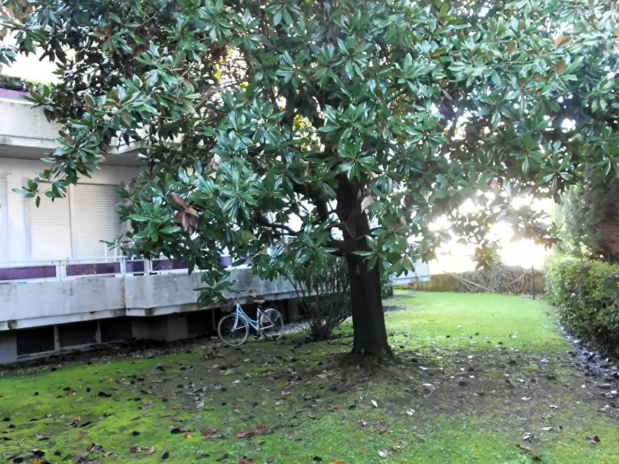 Immagine 57 di Appartamento in vendita  a Massa