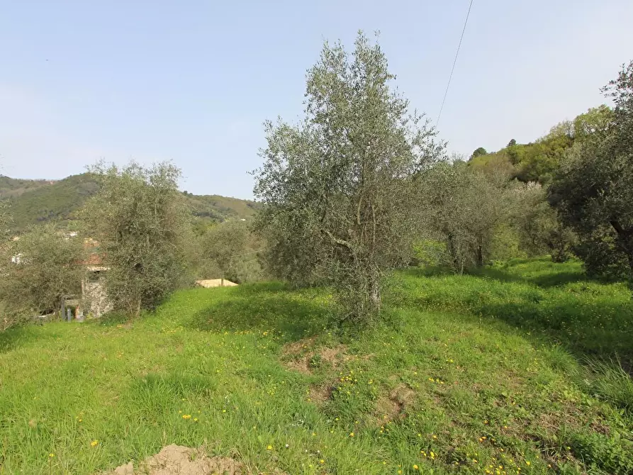 Immagine 19 di Casa bifamiliare in vendita  a La Spezia